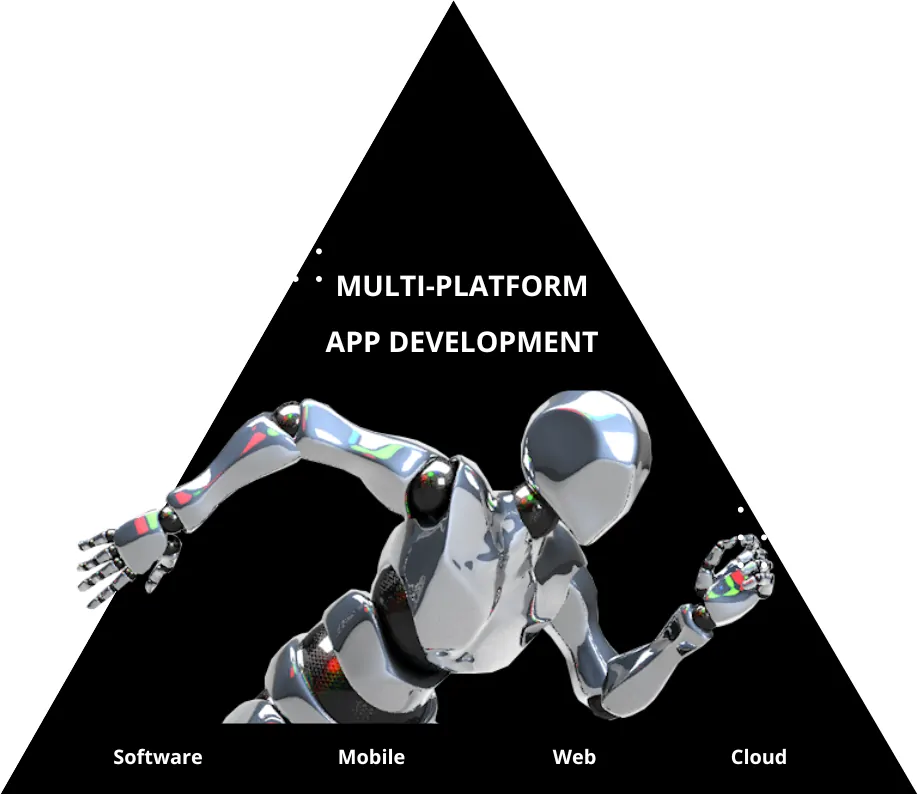 Flutter app developer